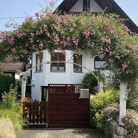 Dalea Apartment Bad Waldsee Exterior photo