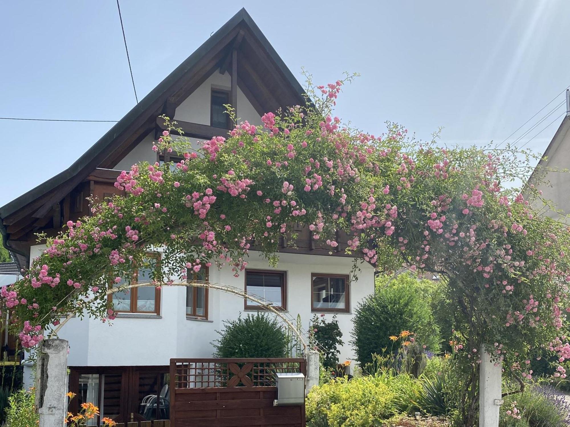 Dalea Apartment Bad Waldsee Exterior photo